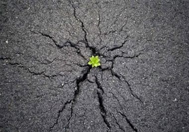 Is bitumen toxic to humans? | Is bitumen bad for your health? Is bitumen toxic to humans?